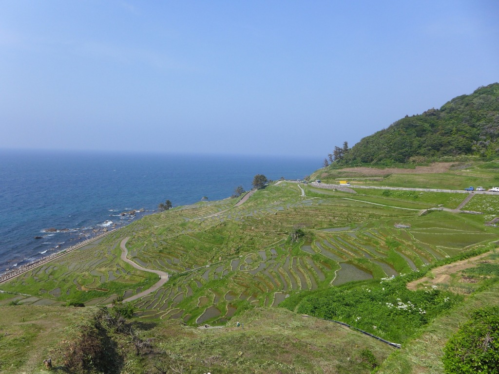 白米千枚田　田植えイベント