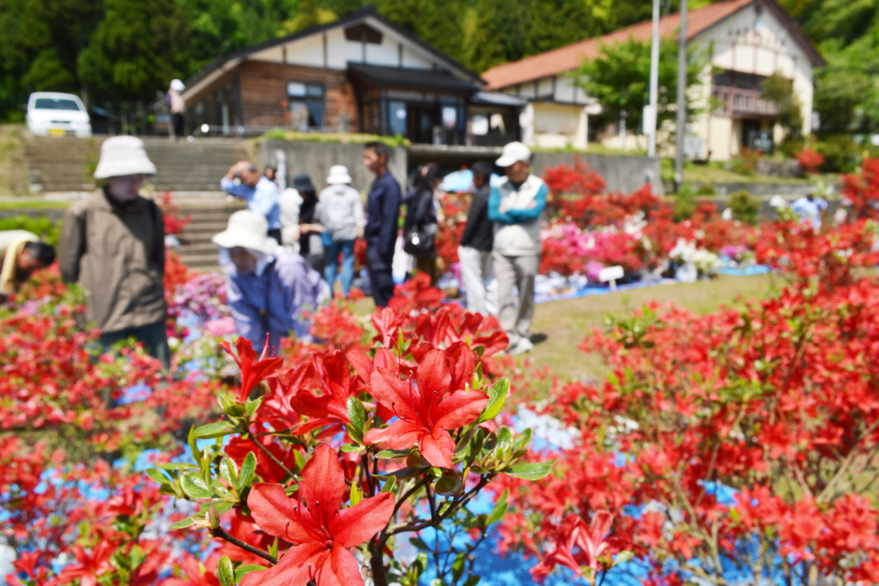 能登峨山キリシマ展示即売会
