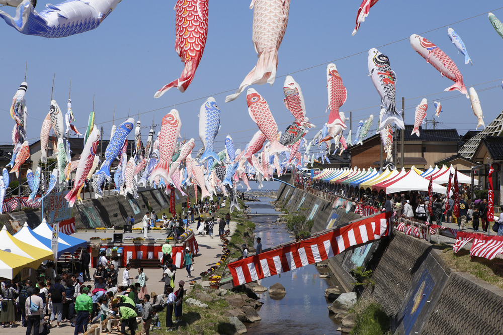 大谷川鯉のぼり川渡し