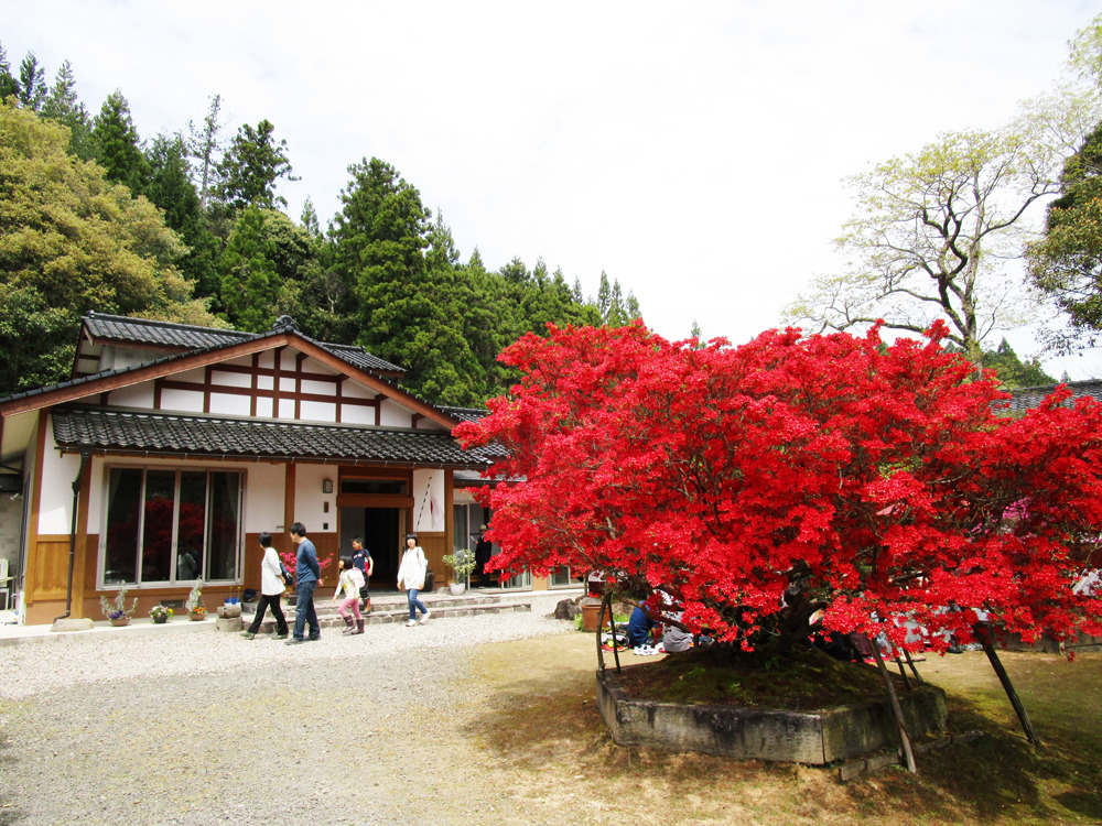 アースマジック 緩い おすわり ギンガム ケツマフィー など 