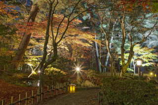 兼六園ライトアップ（秋の段）
