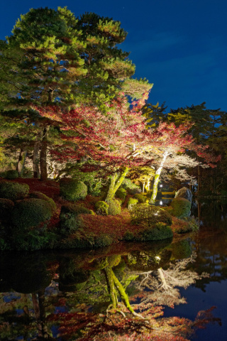 兼六園ライトアップ（秋の段）