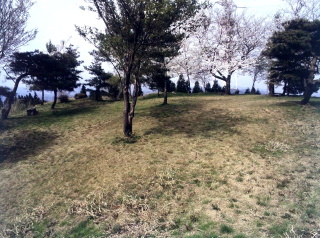 城の中心部　日本海や富山平野が一望できます！