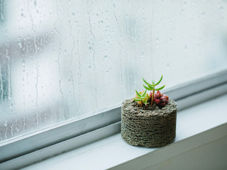 Buddy「人と植物が良き相棒になれるように」の想いから生まれた植彩インテリア