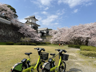 桜の季節：石川城周辺