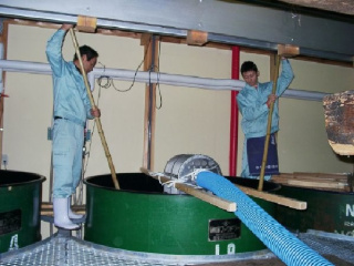 もろみ櫂突き作業