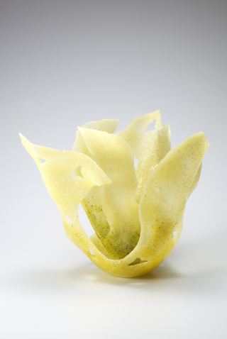 ゴールデンウィング　西悦子　2005年