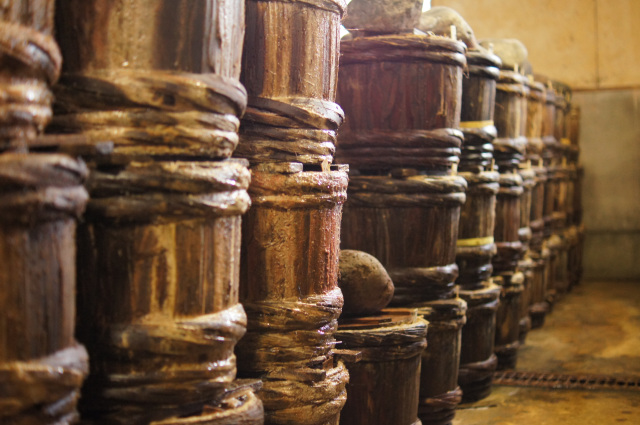 まち歩きジオガイドツアー 美川編